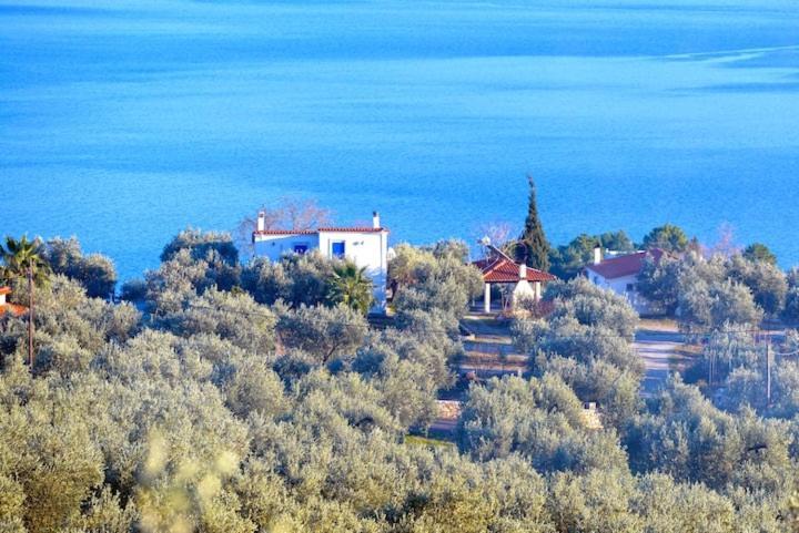 Four Independence Houses By The Sea Glifa  Luaran gambar