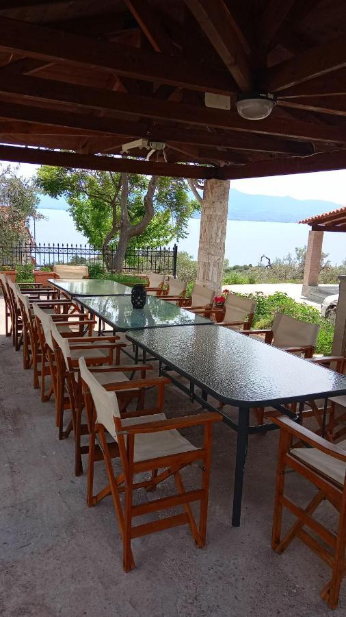 Four Independence Houses By The Sea Glifa  Luaran gambar